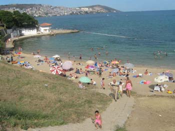 sinop10