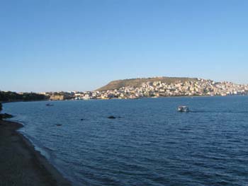 sinop13