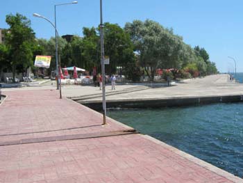 sinop15