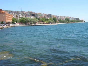 sinop17