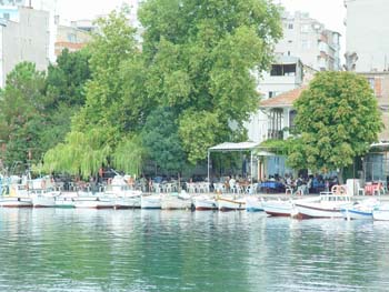 sinop19