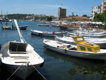 sinop4