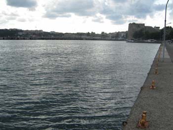 sinop7