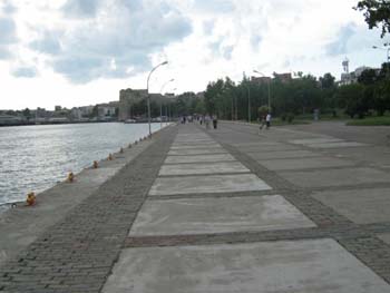 sinop8